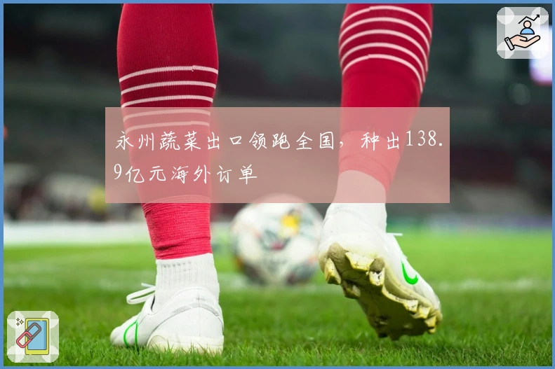 永州蔬菜出口领跑全国，种出138.9亿元海外订单