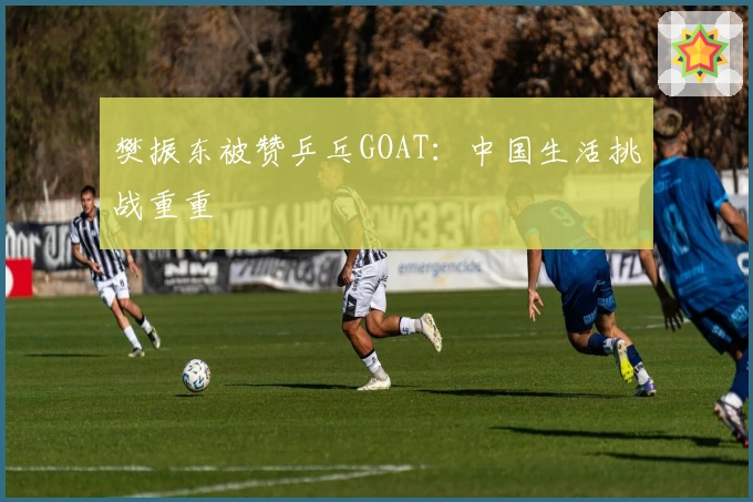 樊振东被赞乒乓GOAT：中国生活挑战重重