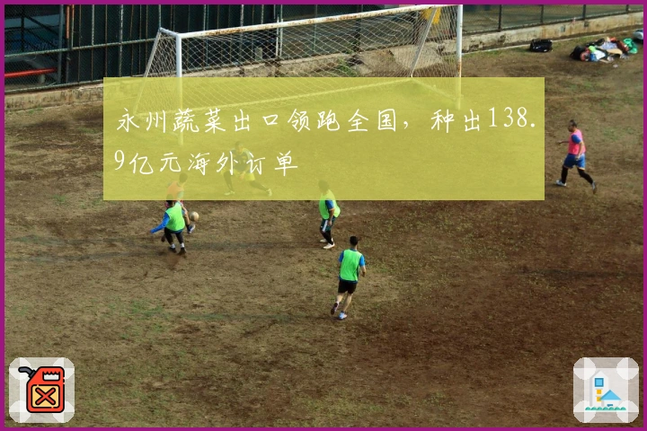 永州蔬菜出口领跑全国，种出138.9亿元海外订单