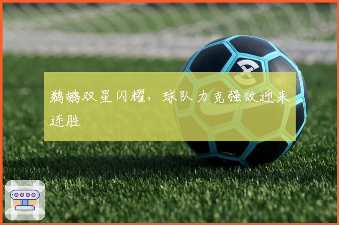 鹈鹕双星闪耀，球队力克强敌迎来连胜